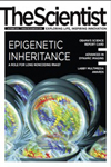 epigenetics and restless legs syndrome