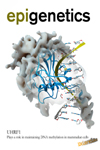epigenetics and restless legs syndrome