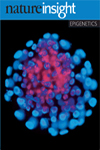 epigenetics and restless legs syndrome