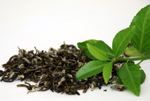 Green Tea absolute cure for restless legs syndrome