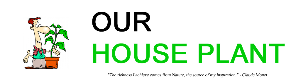 cure for restless legs syndrome